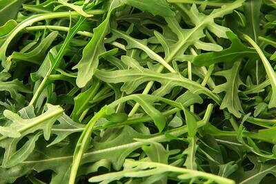 Rucola bak 125 gram