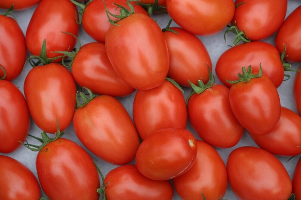 Tomaten roma  ca. 500 gram