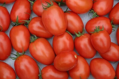 Tomaten roma  ca. 500 gram