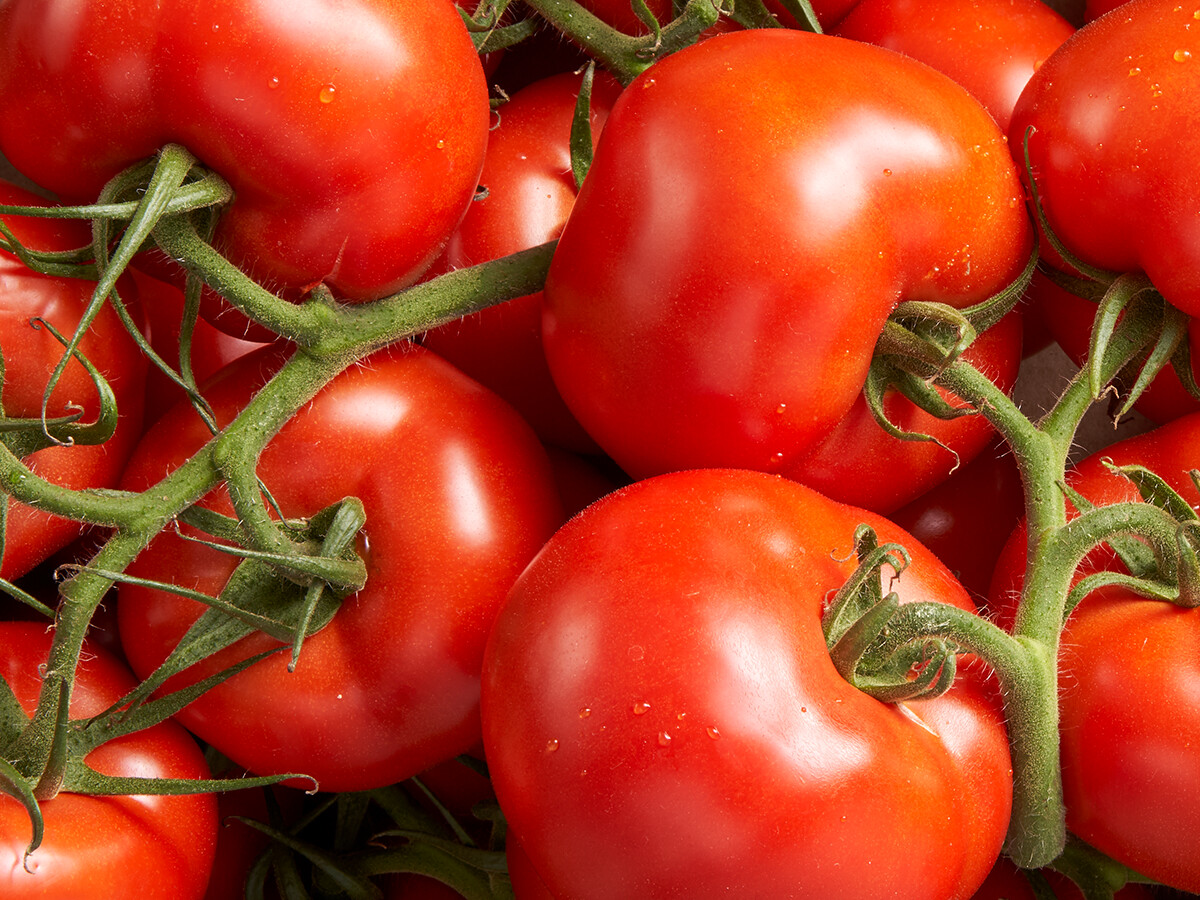 Tros tomaten  ca 500 gram (Holland)