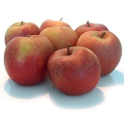 Appels Goudreinet (4 stuks)