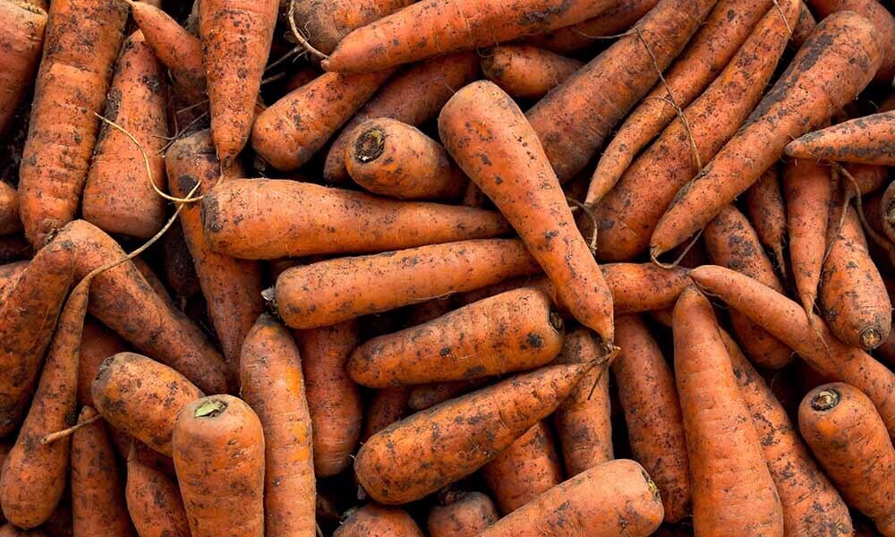 Winter peen 500 gram