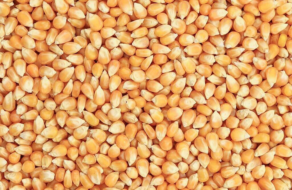 Popcorn mais 500 gram