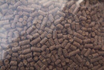 Gedroogd Vol Lam Bites 14 kg (Darf)