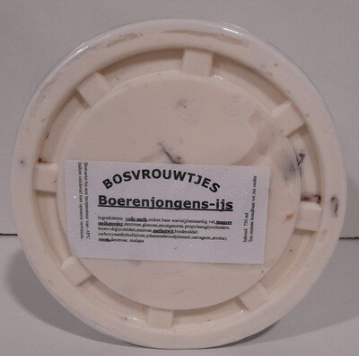 Boerenjongens ijs 750 ml