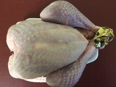 Hele kalkoen per ca 6-8 kg (ophaaldag ma 22-12, di 23-12 of wo 24-12)