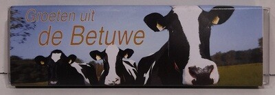 Chocolade reep koe afbeedling 75 gram