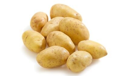 Aardappelen Nicola zak 2.5 kg Nieuwe oogst