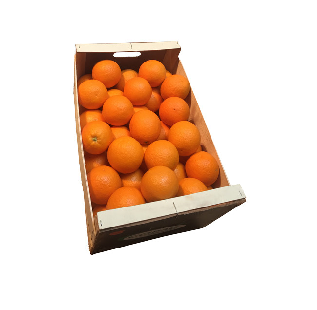 Perssinaasappels kist 15kg