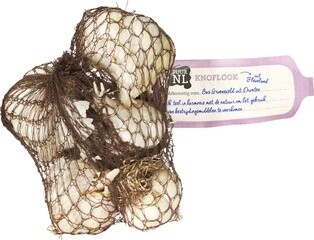 Bio Knoflook net 100 gram (Hollands)