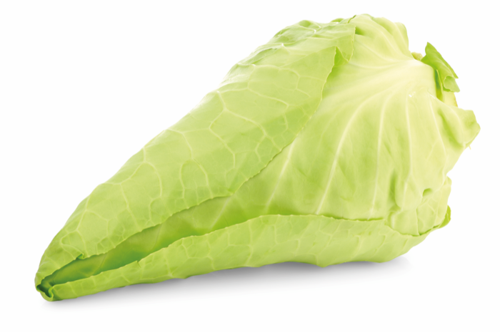 Spitskool  ca 0.85kg per stuk