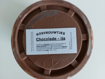 Chocolade ijs 750 ml