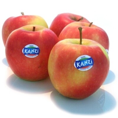 Appel Kanzi 5 stuks
