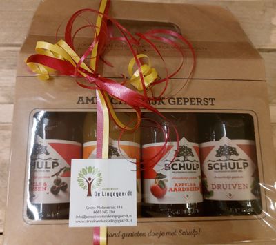 Cadeaupakket Schulpkoffertje: 4 flessen sapjes