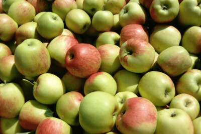 Appels Delcorf middel (5 stuks)