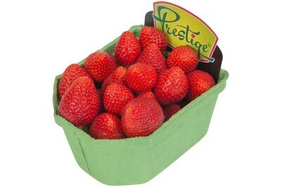 Aardbeien 500 gram (veiling )