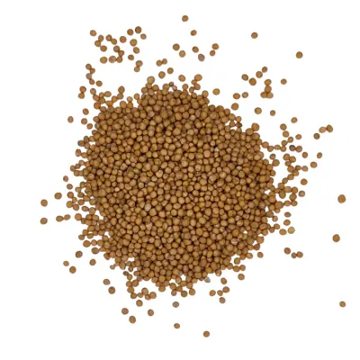 Graine de Moutarde Jaune (Sinapis alba) – 500 g