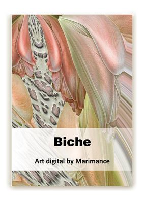 Biche collection