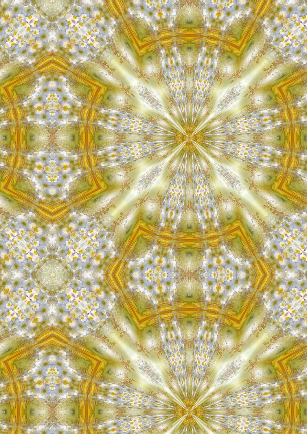 Nayade