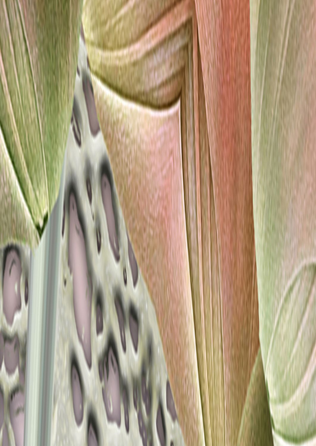 Biche