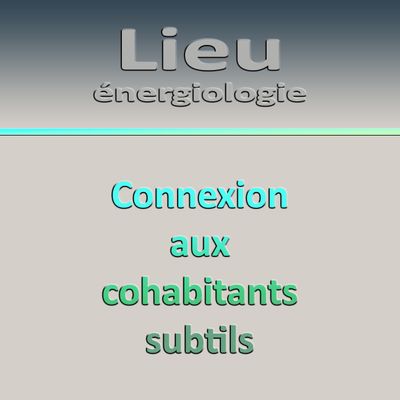 Énergiologie séminaire du Lieu : L5-J4 Connexion aux cohabitants subtils.