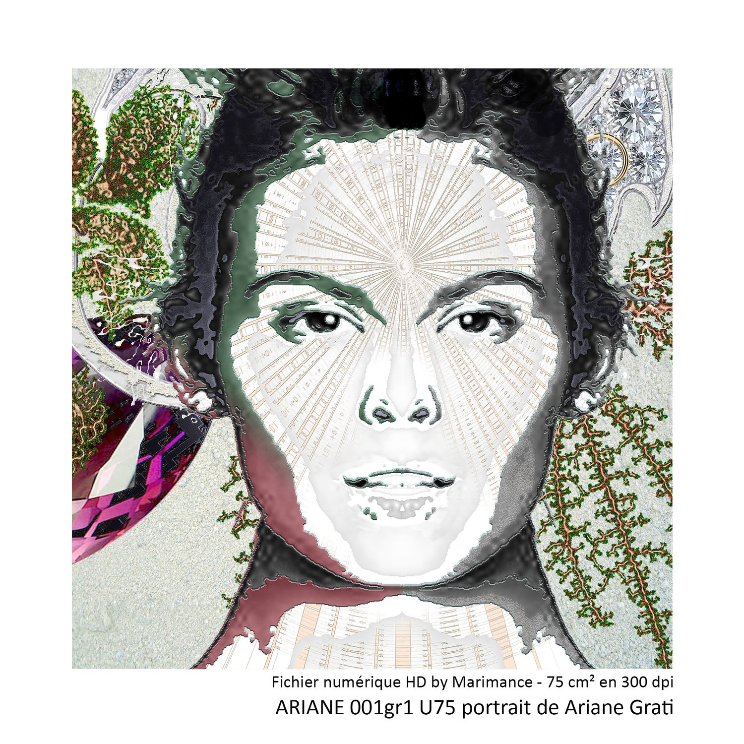 Ariane - fichier HD imprimable