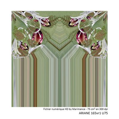 Ariane - fichier HD imprimable