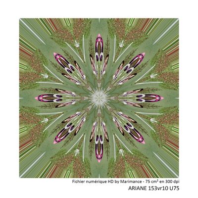 Ariane - fichier HD imprimable