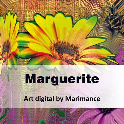 Marguerite collection