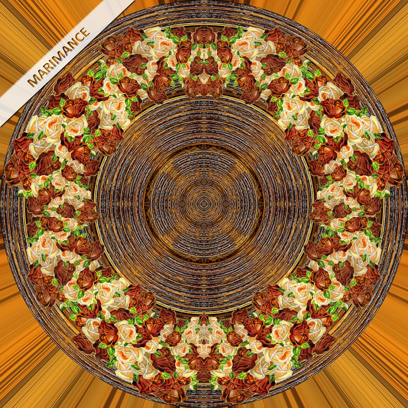 Kat
