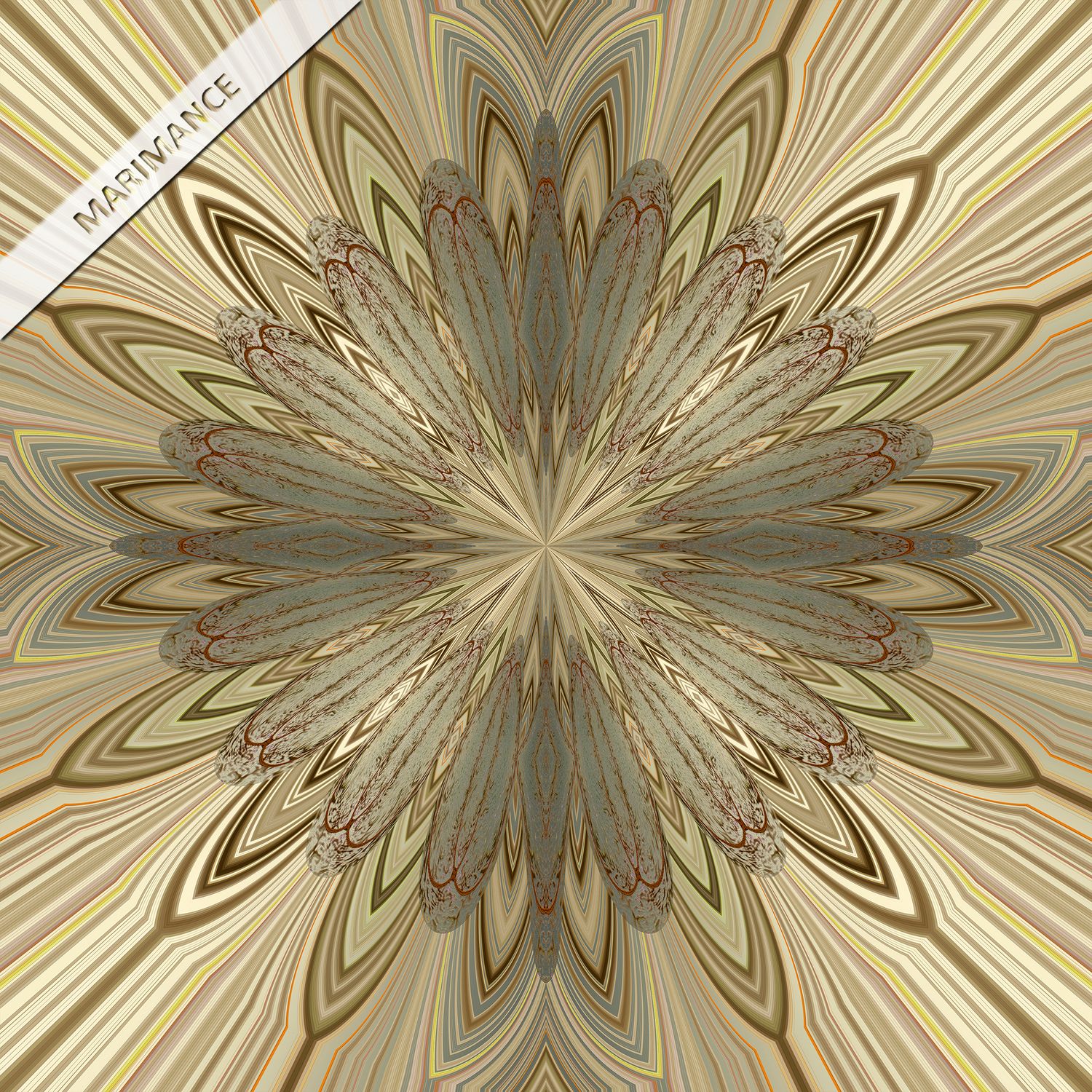 Arche