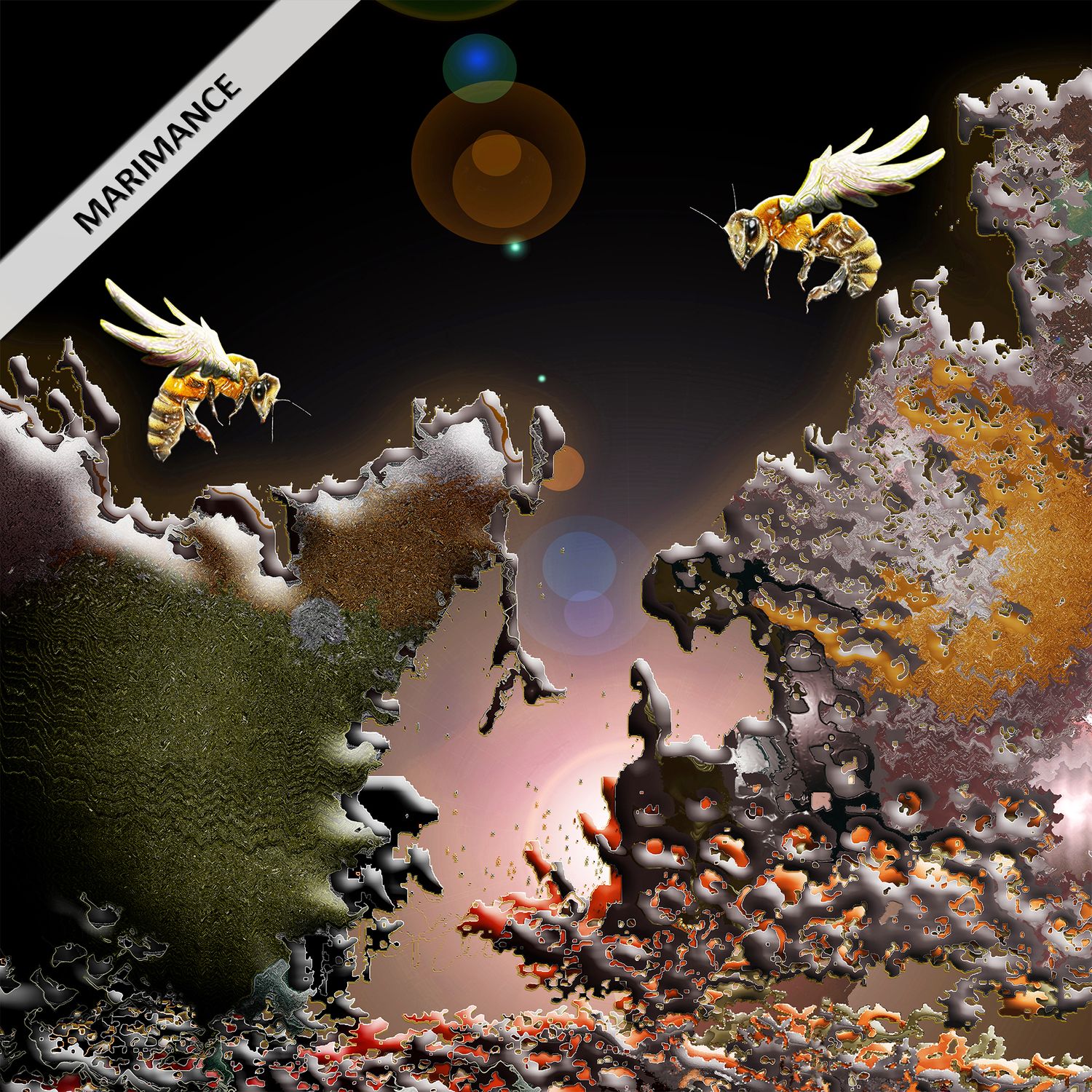 Golden Bee