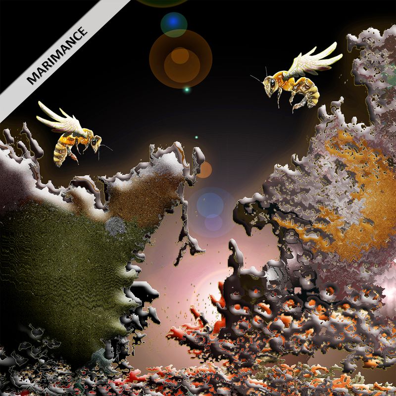 Golden Bee