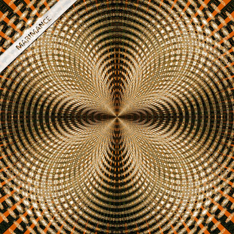 Golden Bee