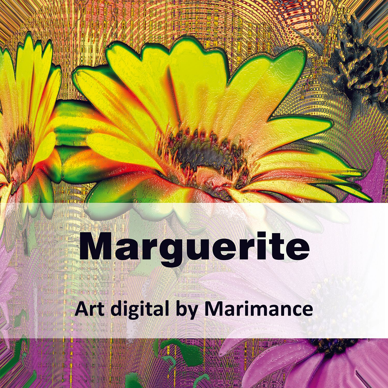Marguerite