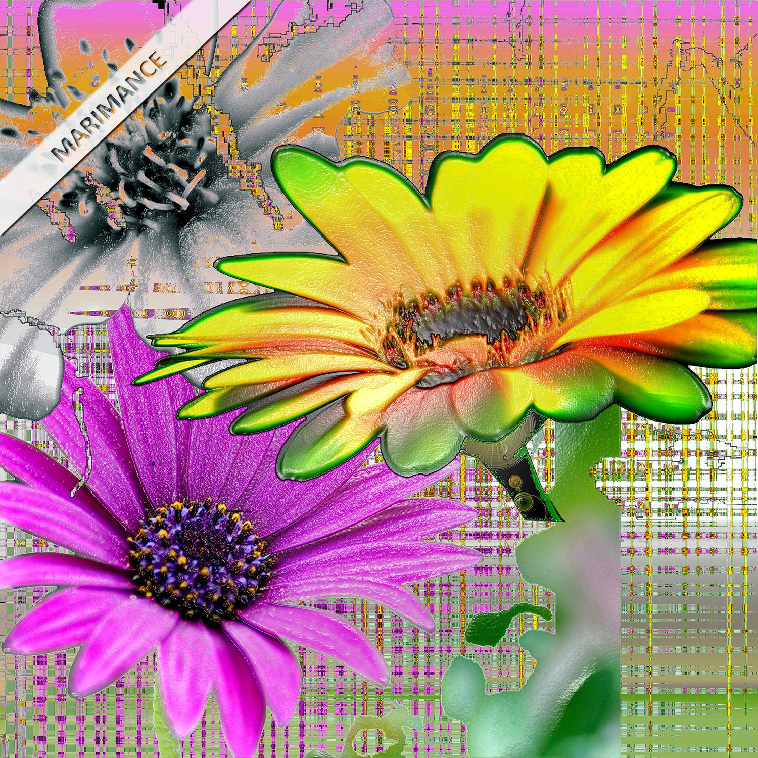Marguerite
