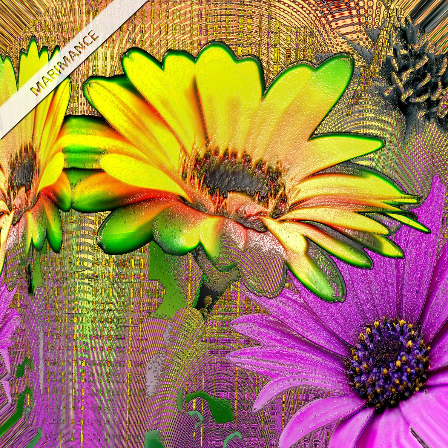 Marguerite