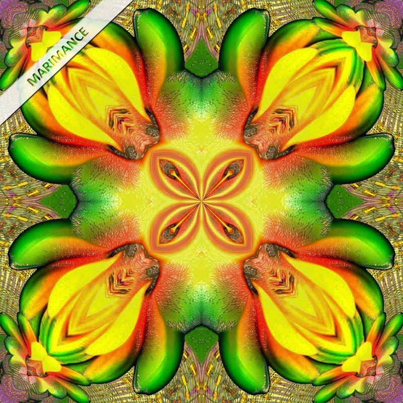 Marguerite