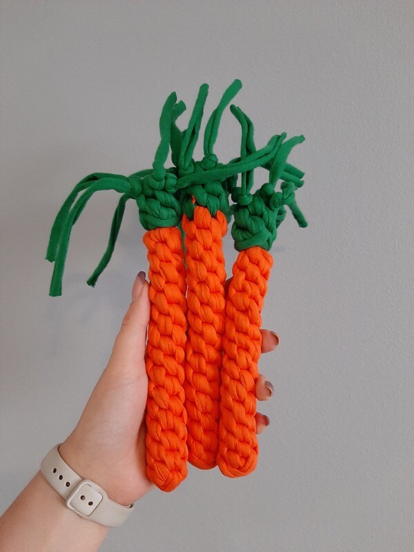 Carrot Tuggie Toy