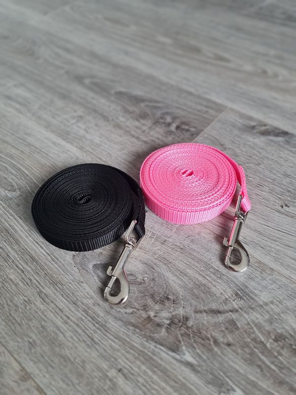 Long Line Leash