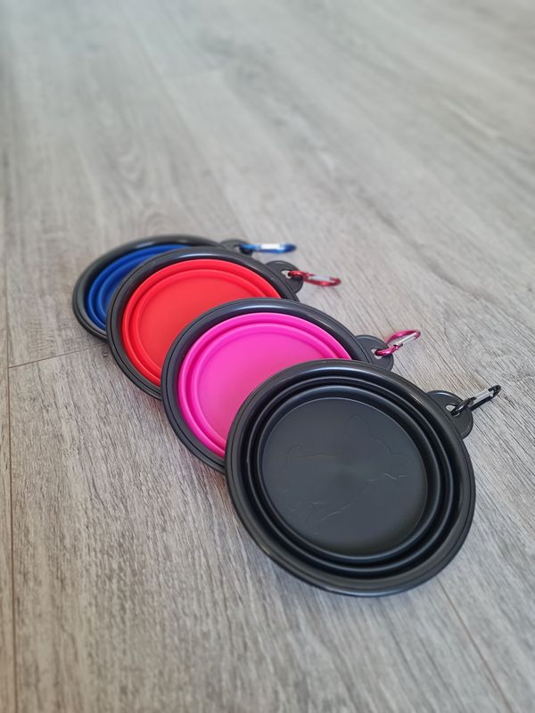 Collapsible Water Bowl