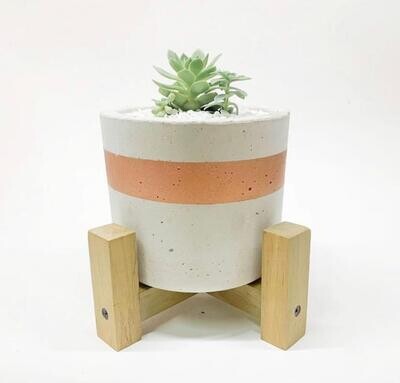 Cylindrical Concrete and Wood Pot