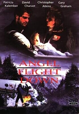 Angel Flight Down DVD (1996) starring Patricia Kalember, Christopher Atkins