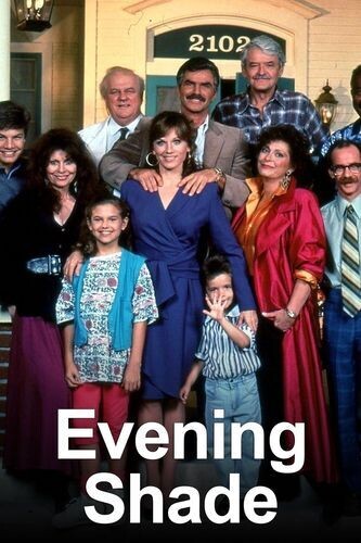 Evening Shade DVD - (1990) Complete Seasons 1,2,3,4 - Burt Reynolds, Marilu Henner, Michael Jeter