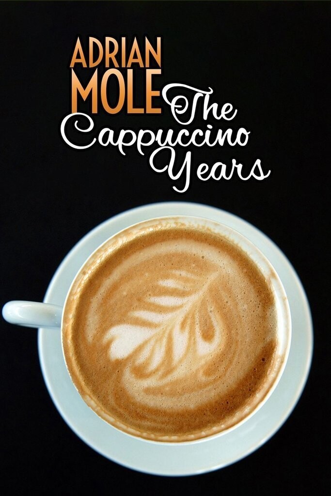 Adrian Mole - The Cappuccino Years DVD (2001) - TV Series