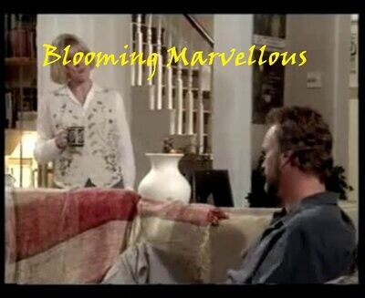 Bloomin' Marvellous DVD TV Series 1997