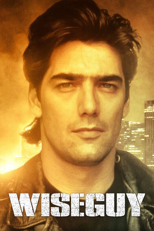 Wiseguy DVD (1987-1990) Complete Series - Ken Wahl, Steven Bauer, Jonathan Banks. Jim Byrnes