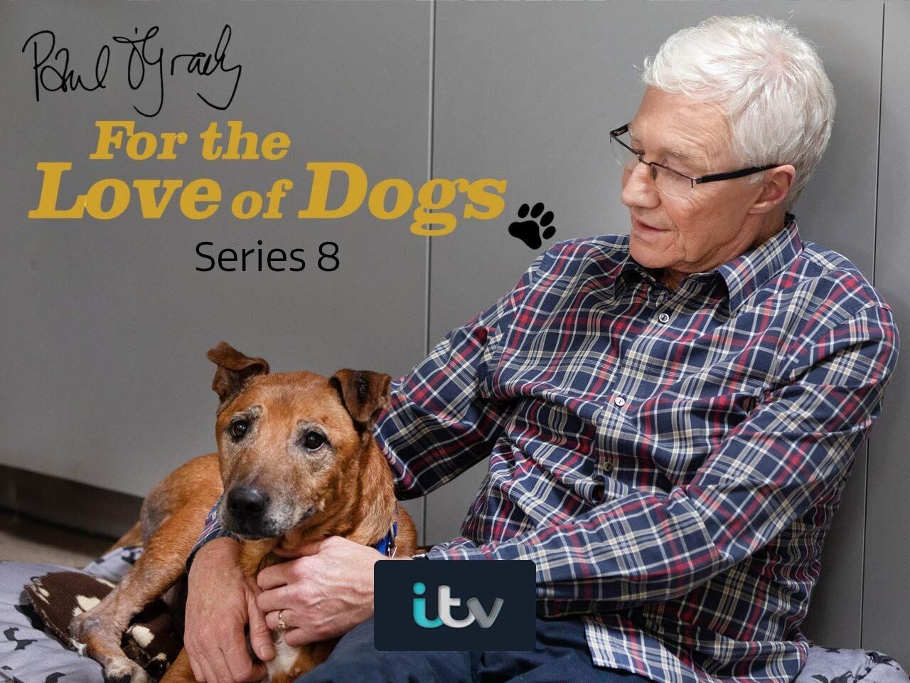 paul o grady itv dogs