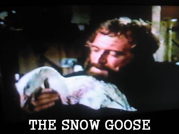 The Snow Goose DVD - 1971 - Richard Harris, Jenny Agutter