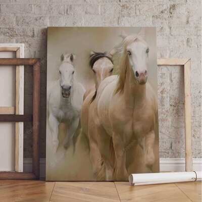 Canvas Frame